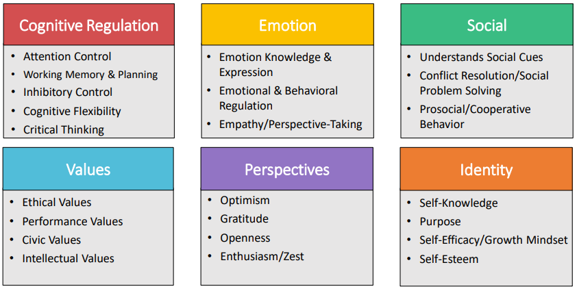 21 Skills and 6 SEL Domains