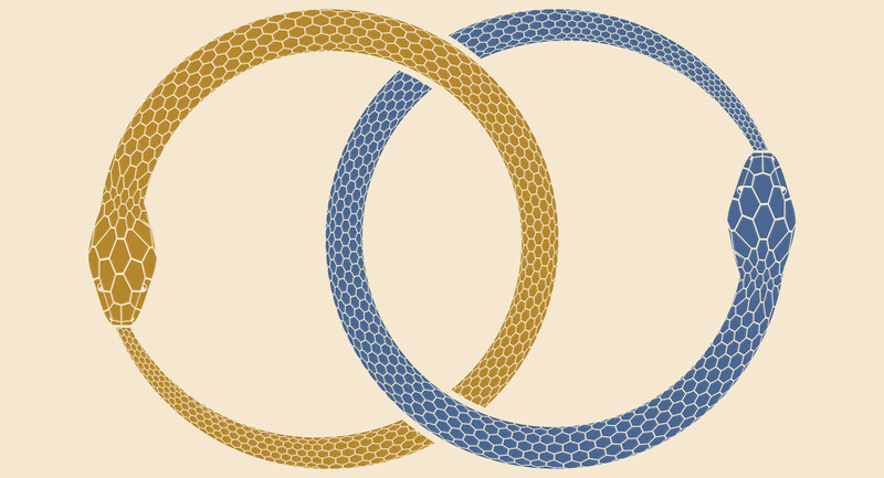 Illustration of two entwined ouroboros snakes